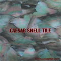 shell mosaic tile 2