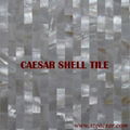 shell mosaic tile 4