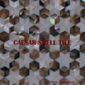 shell mosaic tile 5