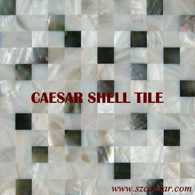 MOP shell tile 4