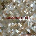 MOP shell tile 5