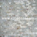 Shell Tile 4