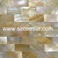Shell Mosaic 3