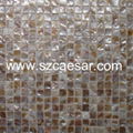 Shell Mosaic 4