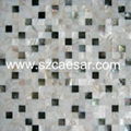 Shell Mosaic 3