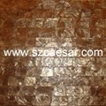 Shell Tile 2