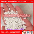 AMMONIUM SULPHATE 1