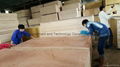 commercial plywood