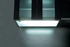 Motion sensitive wall cupboard lighting