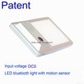 LED Bluetooth Light with Motion Sensor