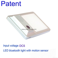 LED Bluetooth Light with Motion Sensor