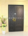 Aluminium Door 5