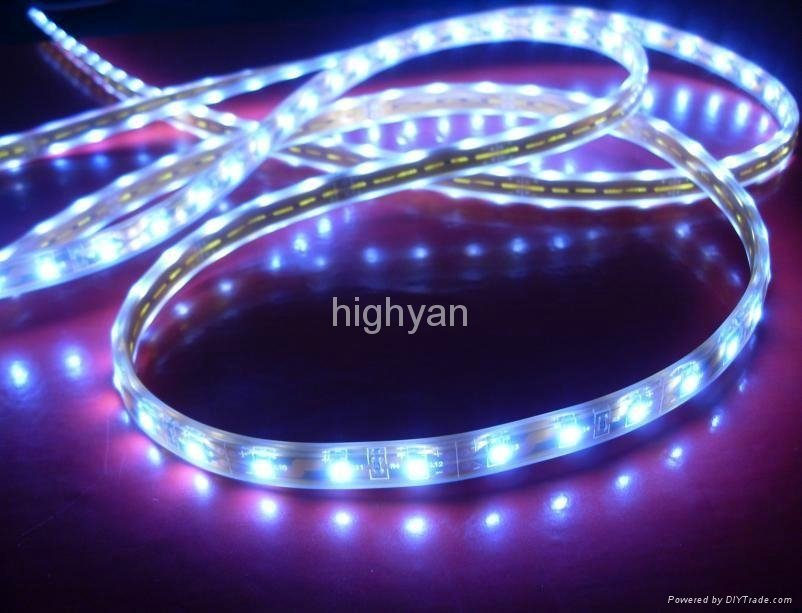 60led/m waterproof 3528SMD flexiable led strip light 3