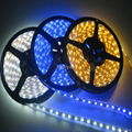 60led/m waterproof 3528SMD flexiable led strip light 4