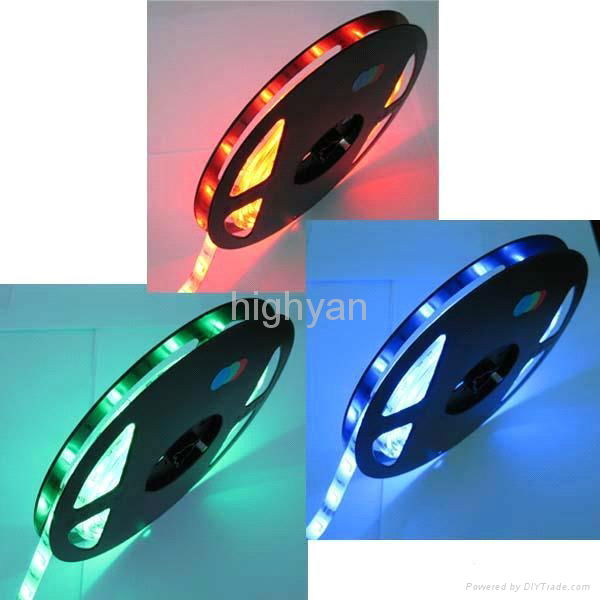 60led/m waterproof 3528SMD flexiable led strip light 5