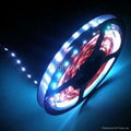 SMD5050 RGB Waterproof Led Strip Light 3