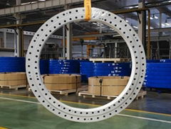 Excavator Slewing Ring bearing