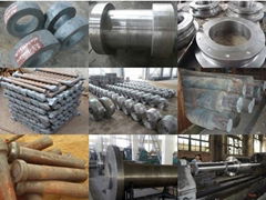 Shanghai Donghuang Forging Co., Ltd.