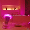 2nd Crystal Magic Livingcolor LED Bulb