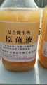 金山糖肽多酶原菌液灌裝