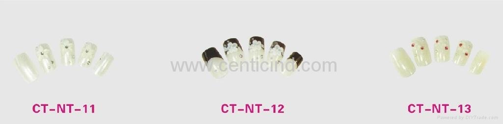CT-NT-01~13  4