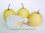 snow pear