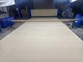 conference room carpet, business carpet, nylon carpet 4