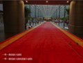 Hotel carpets, conference room carpets,