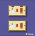 Golden wall switches