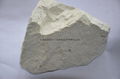 kaolin