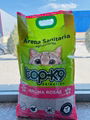 10L Korean no dust ball cat litter 4