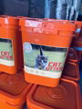 5L Korean no dust ball cat litter 