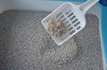 Clumping Irregular natural mineral cat litter 10L
