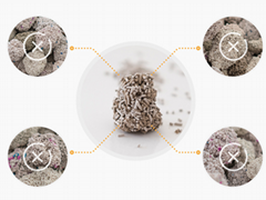 Clumping Dust-free Bentonite stick cat litter 