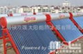 Shanghai magnesium double lotus solar-powered water heater  3