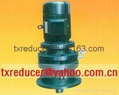 BLD Cycloidal Reducer