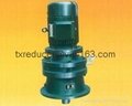 BLY Cycloidal Reducer