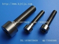 Titanium Fasteners 1