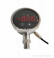 PT3083 Series Digital pressure gauge