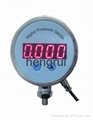PT3082 Series Digital pressure gauge