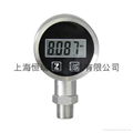 PT3081-A Series Battery Powered Digital pressure gauge