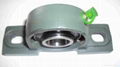 Pillow block bearing