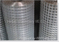 Galvanized welded wire mesh  2