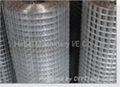 Galvanized welded wire mesh 