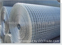 Galvanized welded wire mesh  3