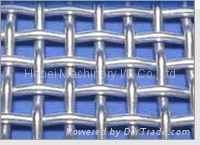 Galvanized square wire mesh 2