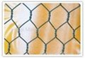 Hexagonal wire netting 2