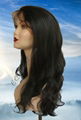 human hair wigs with highlight human hair wig price lace wigs supplier 3