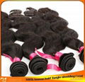 Indian Brazilian Human Hair Weaves