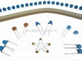 Ceramic Capacitor 1